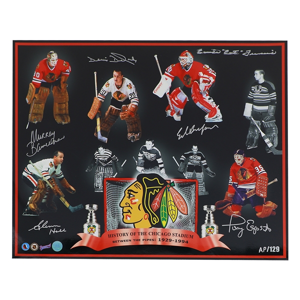 Chicago Blackhawks 16x20 Photo /129 Signed By 6 Goalies With Esposito (Flawed)