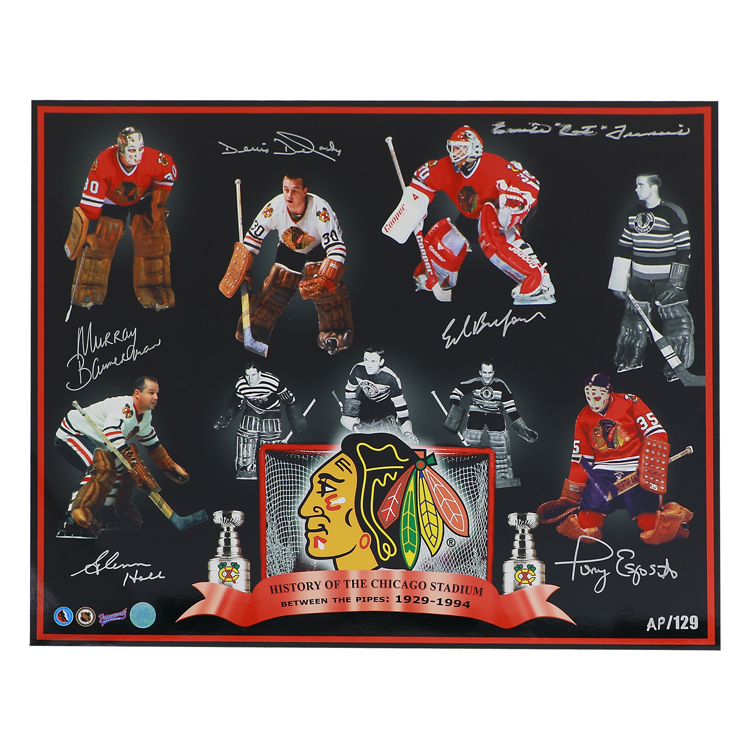 Chicago Blackhawks 16x20 Photo /129 Signed By 6 Goalies With Esposito (Flawed)