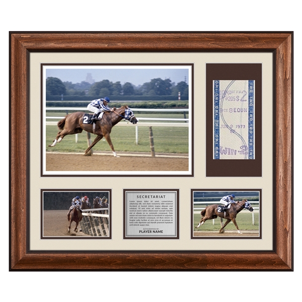 Ron Turcotte Signed Secretariat Triple Crown Belmont Victory Bet Ticket 23x27 Frame