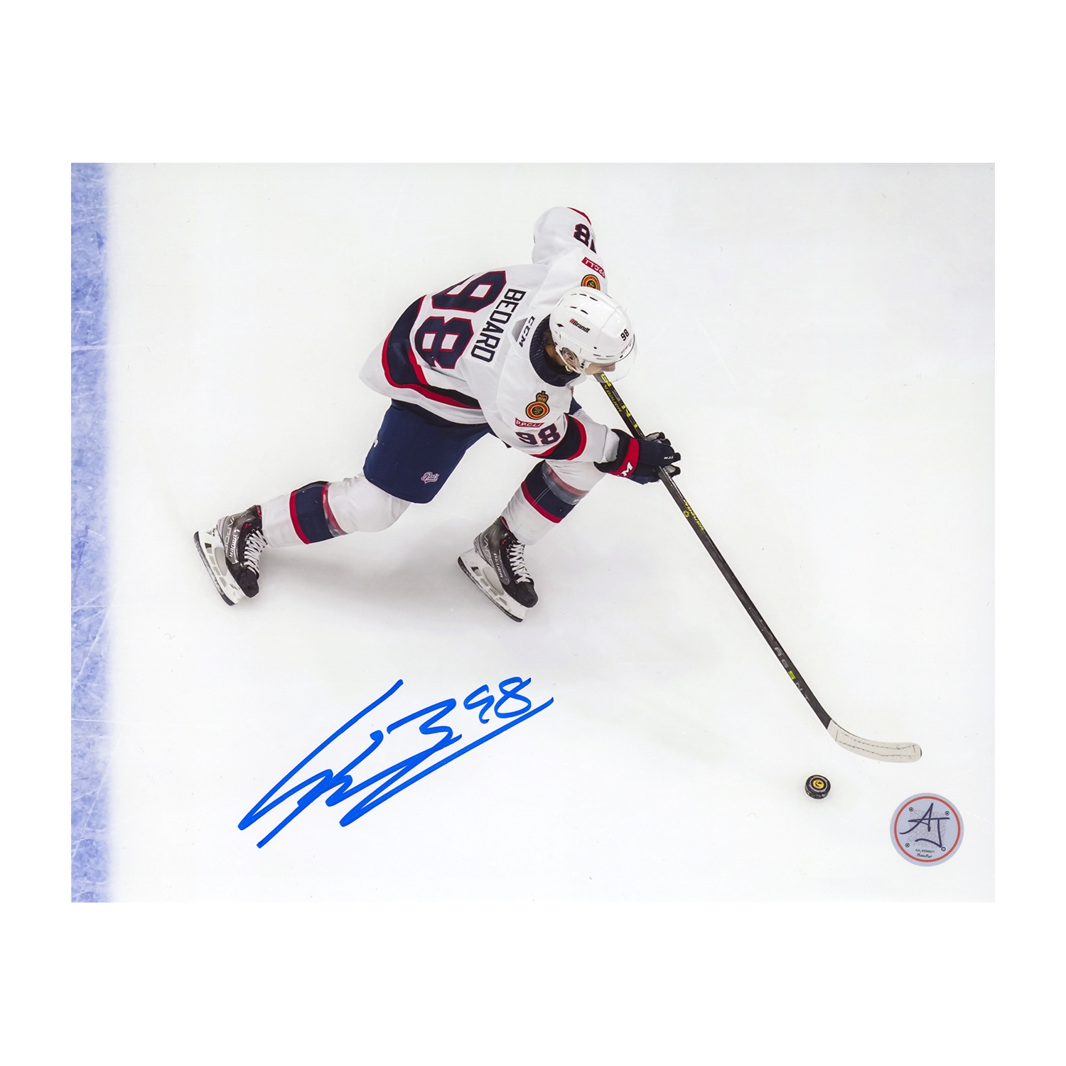 Connor Bedard Signed Regina Pats Aerial View 8x10 Photo