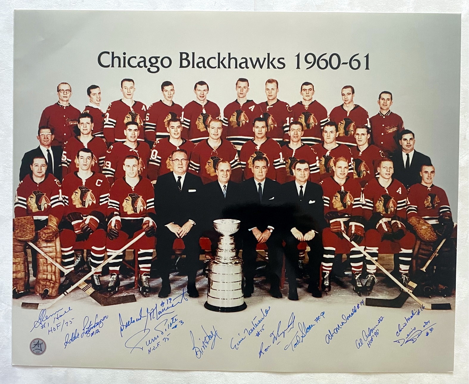 Chicago Blackhawks 1961 Stanley Cup Champs 12 Player Team Signed 16x20 Photo