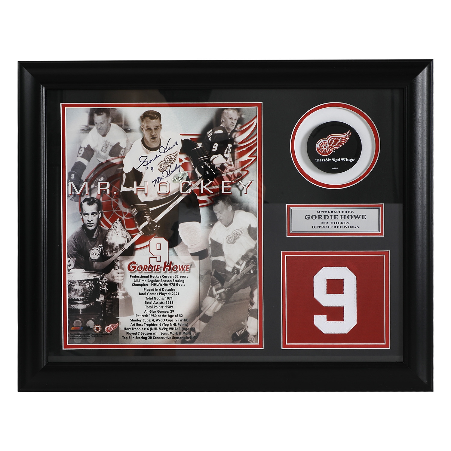 Gordie Howe Detroit Red Wings Signed 20x24 Retired Number Frame