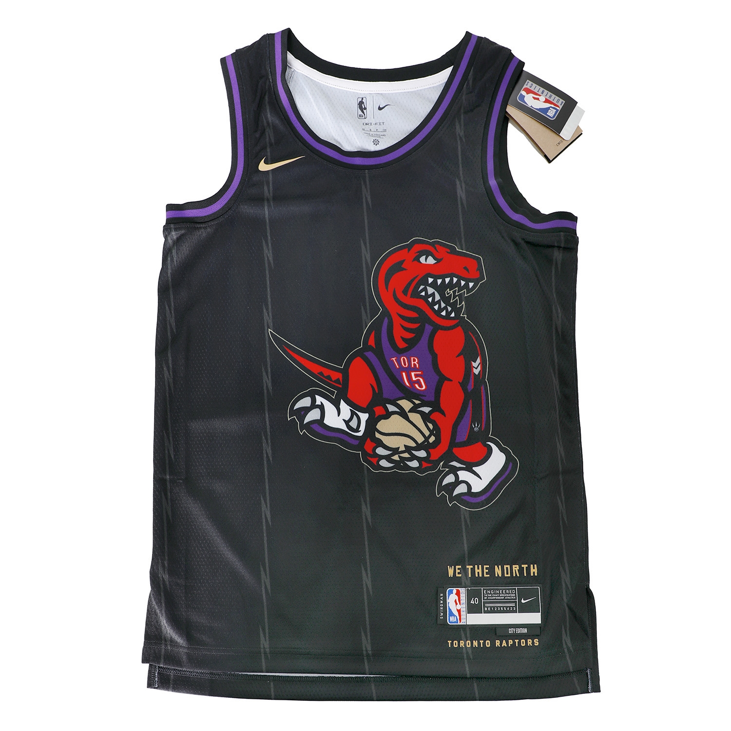 Toronto Raptors Nike 2024 City Edition Swingman Blank Jersey