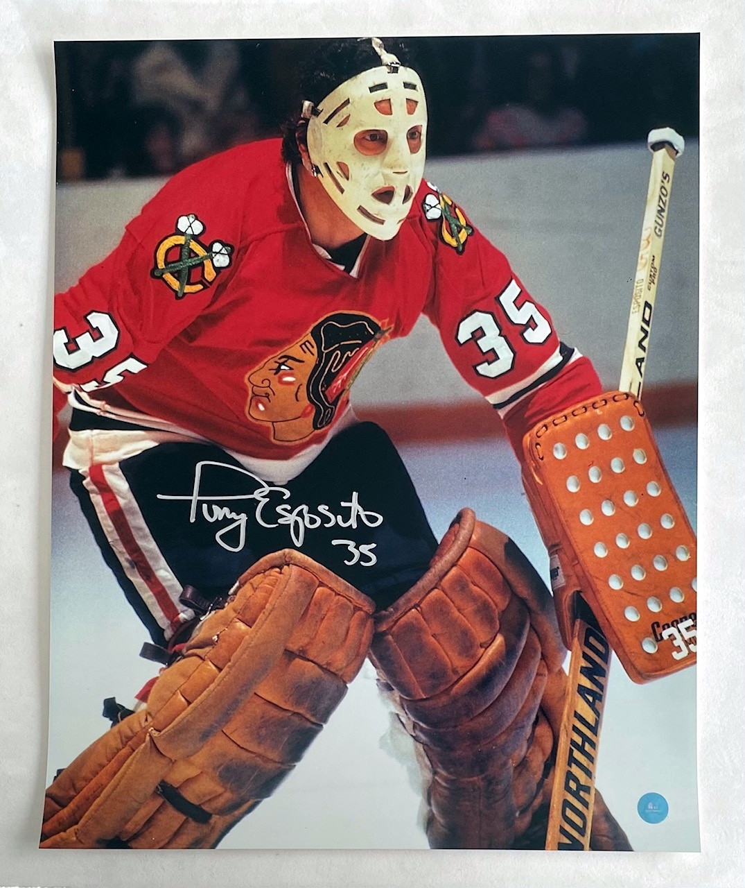 Tony Esposito Chicago Blackhawks Signed Goalie 16x20 Photo