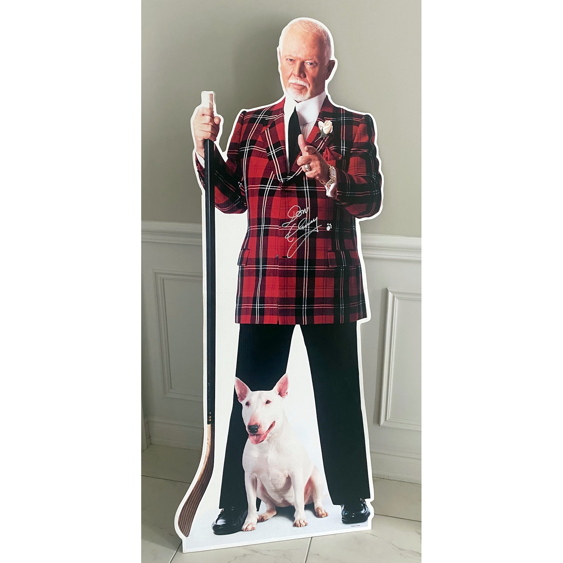 Don Cherry Personally Owned & Signed Grapes With Blue Life-Size Cardboard Cutout