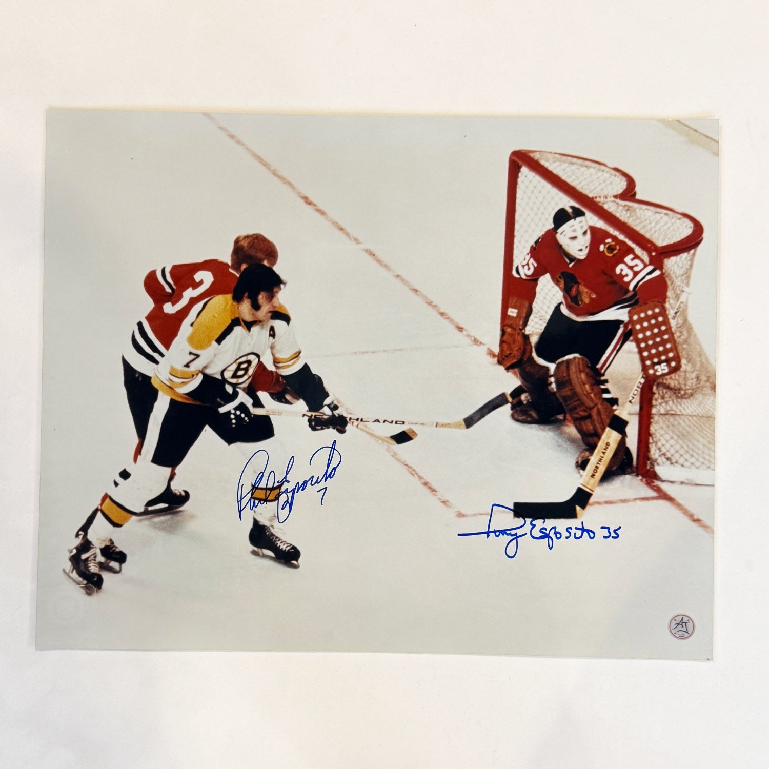 Phil Esposito & Tony Esposito Dual Signed Hockey Brother Rivalry 16x20 Photo