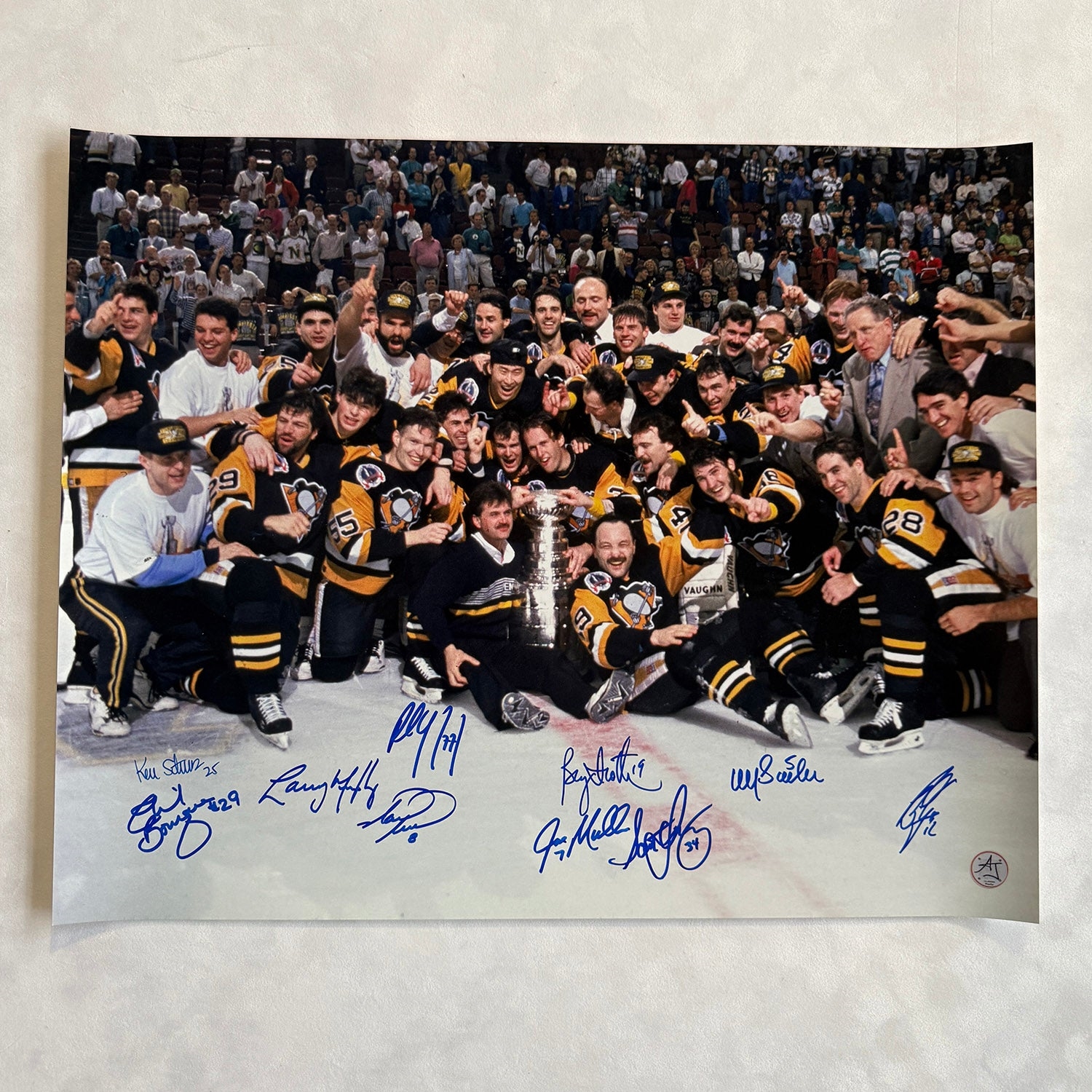 Pittsburgh Penguins 1991 Stanley Cup Team 10 Player Signed 16x20 Photo