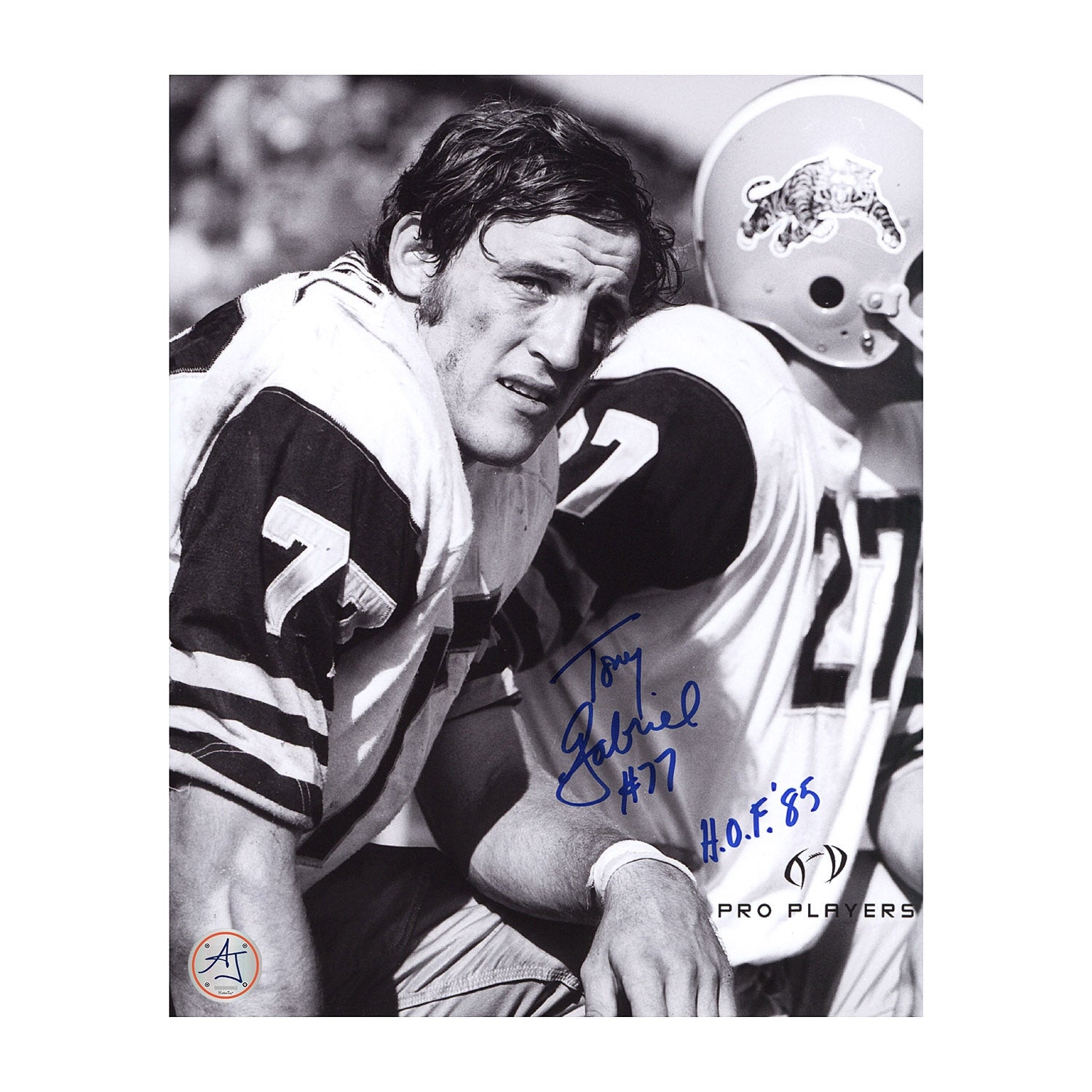Tony Gabriel Autographed Hamilton Tiger-Cats 8x10 Photo